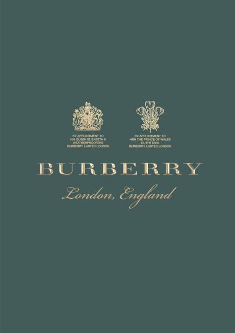 burberry brands|Burberry brand guidelines.